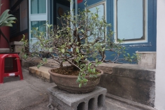 DSC04584