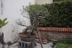 DSC04590